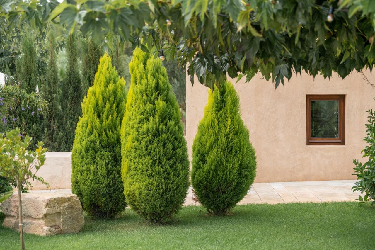Agroturismo Safragell Ibiza Suites & Spa Sant Llorenc de Balafia Екстериор снимка
